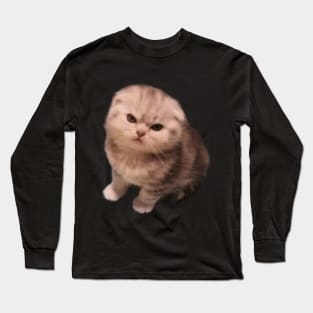 Angry Cat Long Sleeve T-Shirt